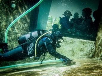 Bild: Martin Steffen Bild: Martin Steffen